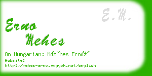 erno mehes business card